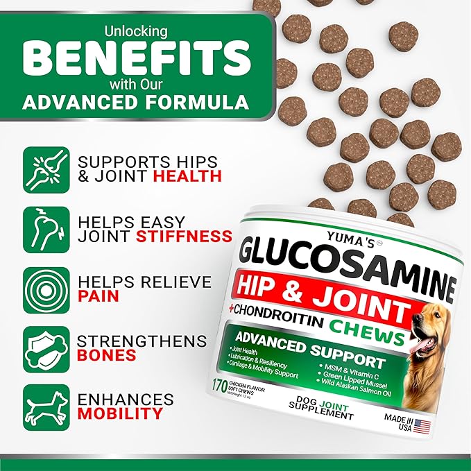 YUMA'S Glucosamine for Dogs - Hip and Joint Supplement for Dogs - 170 Ct - Glucosamine Chondroitin Chews - Joint Pain Relief Supplement with MSM - Advanced Health - Mobility Support - Made in USA