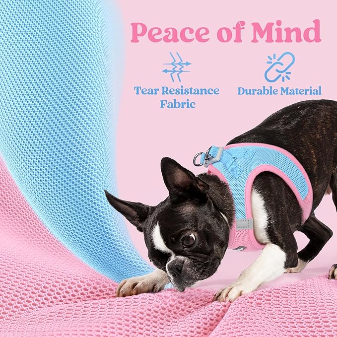rabbitgoo Small Dog Harness, Step-in Soft Mesh Puppy Vest with Safety Buckle, Breathable Reflective Pet Harness for Extra Small Dogs, Blue & Light Pink XXXS