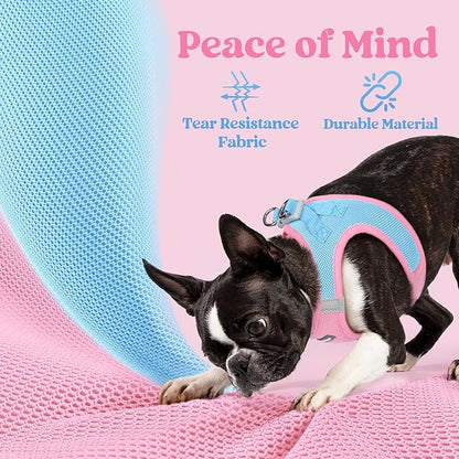 rabbitgoo Small Dog Harness, Step-in Soft Mesh Puppy Vest with Safety Buckle, Breathable Reflective Pet Harness for Small Sized Dogs, Blue & Light Pink S