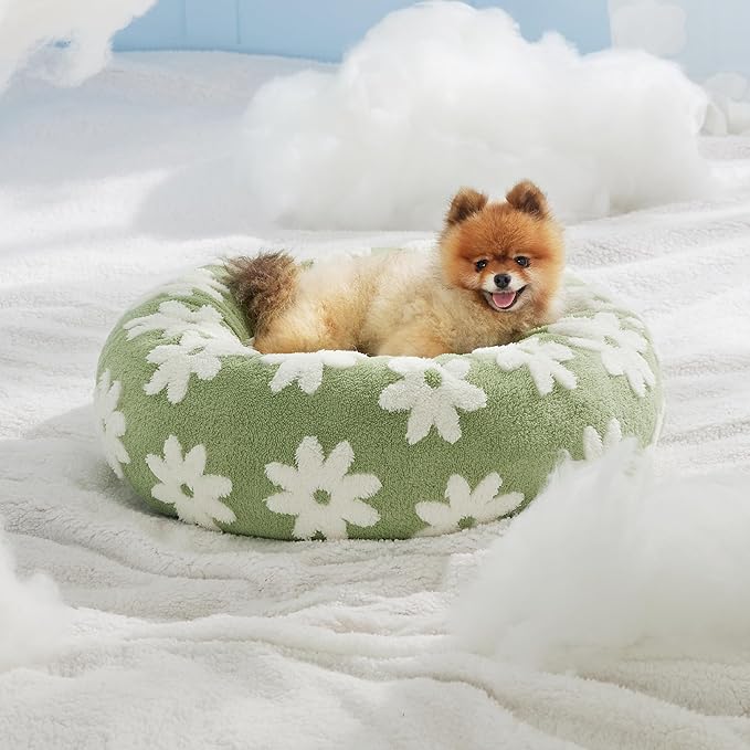 LE SURE Small Dog and Cat Bed - Round Calming Beds as Present for Pets, Cute Modern Design with Jacquard Shaggy Plush, Anti-Slip Bottom, 23 Inch, Green
