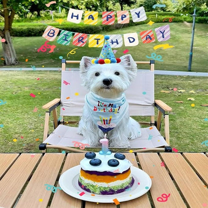 Pet Birthday Party Set with Hat and Bandana for Dogs and Cats with Star Pattern Design, Adjustable Sequin Bow tie Accessories, Blue Birthday Boy Scarf (Blue)