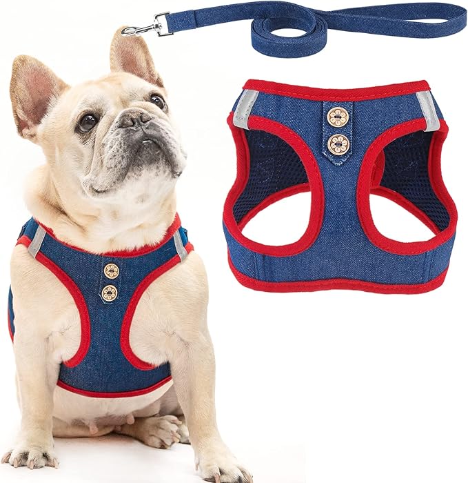 PUPTECK Dog Harness and Leash Set for Small Medium Dogs No Pull Step-in Soft Mesh Puppy Cat Vest Harnesses Reflective at Night, Denim NavyBlue S