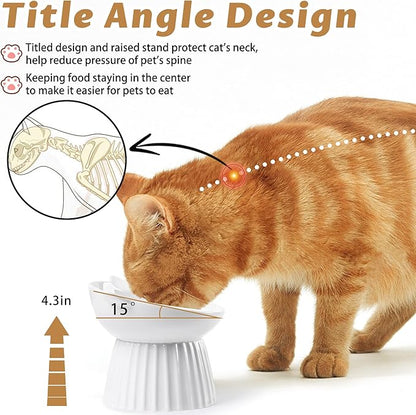 Wellbro Ceramic Raised Cat Bowl，Tilted Raised Cat Bowl Anti Vomit Cat Bowls for Indoor Cats Whisker Friendly Pet Feeder for Cats Puppies, Microwave and Dishwasher Safe