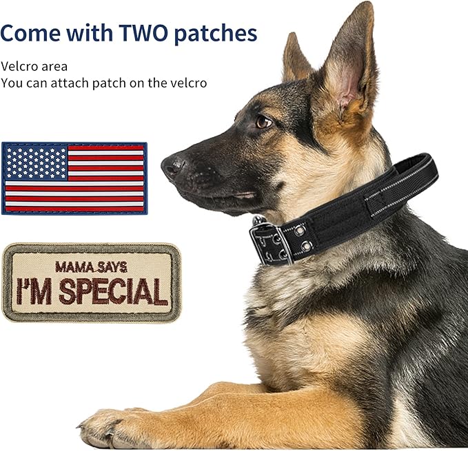 Annchwool Tactical Dog Collar for Medium and Large Dog,Adjustable Military Dog Collar with Soft Padded Handle,Heavy Duty Double Buckle Design(Black,L)