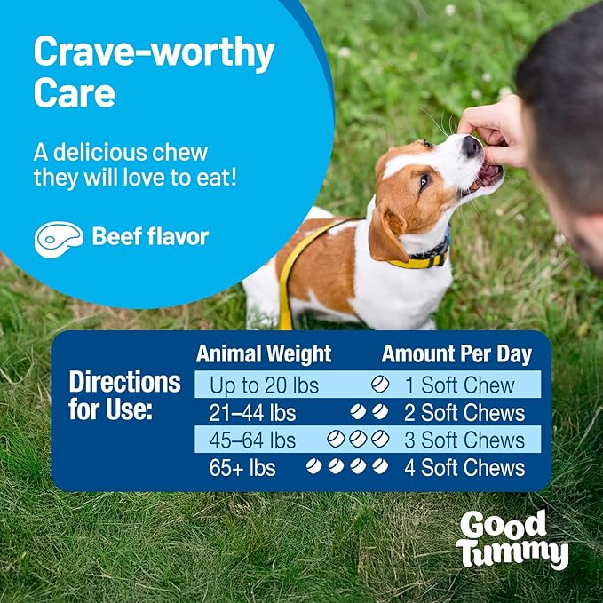 Pet HealthWorks Good Tummy Probiotic Chews for Dogs – Supports Digestive Health, Controls Gas, Promotes Healthy Immune Function – Beef Flavor, 60 Soft Chews