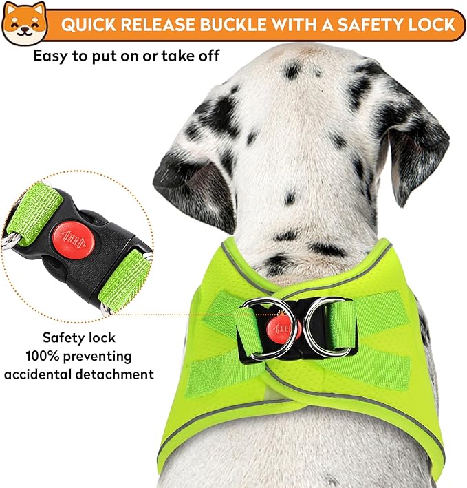 Dog Harness with Leash Set, No-Pull Step-in Reflective Pet Harness with 1 Leash Clips, Adjustable Soft Padded Easy Walk Dog Vest for Small Medium Large Dogs, Cats(Fluorescent, Small)