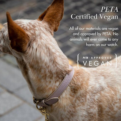 NINA WOOF Milan Vegan Leather Dog Collar - Padded Luxury Dog Collar with Adjustable Buckle - Collar for Dogs, Small Dogs to Large Dogs - Color Lilac, Size Extra Small