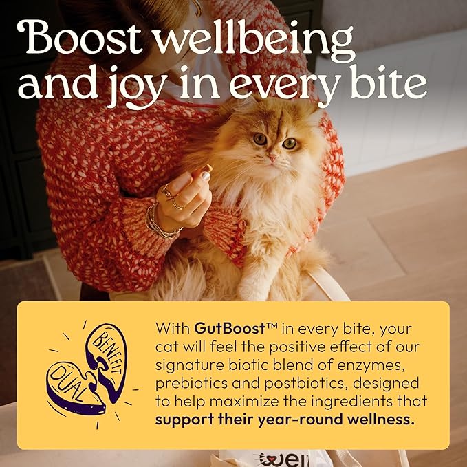 New! WellJoy Cat Supplement Immune+ GutBoost | Cat Health Supplement | Enhances Immune Response | Dual-Benefit GutBoost Formulation | Vet Formulated | Made in USA | Chicken Flavor | 90 Soft Chews
