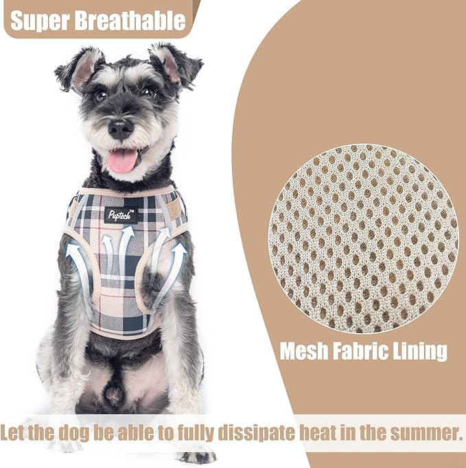 PUPTECK Small Dog Harness and Leash Set, No Pull Adjustable Puppy Cat Harness, Reflective Soft Mesh Pet Vest Small Sized, Beige Plaid, XS