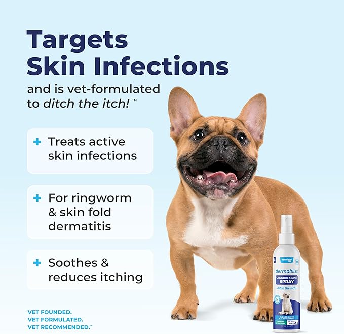 Vetnique Dermabliss Hot Spot Treatment for Dogs - Antiseptic Medicated Chlorhexidine Spray - Vet Recommended for Skin Infections, Hot Spots & Irritation (Hot Spot Spray, 8oz)