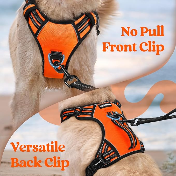 rabbitgoo Dog Harness for Large Dogs, No Pull Pet Harness with Soft Padded Handle, Adjustable Reflective Vest with 3 Buckles, Easy Walking Harness with 2 Leash Clips, Orange, L