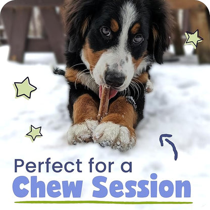 Pawstruck Natural 3–5" Bully Sticks for Small Dogs and Puppies – Single Ingredient, Low-Odor, Rawhide-Free Chew Treat – 100% Real Beef, No Artificial Preservatives – 8 oz Bag – Packaging May Vary