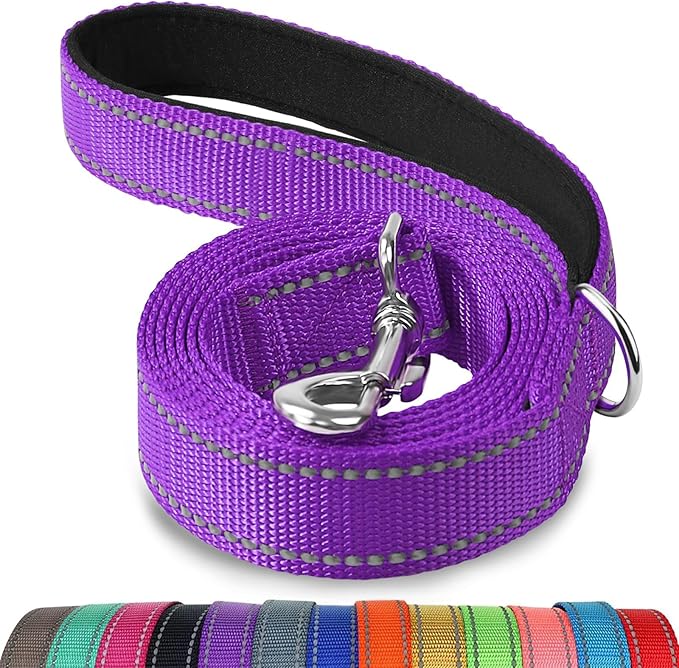 Joytale Double-Sided Reflective Dog Leash, 6 FT/5 FT/4 FT, Padded Handle Nylon Heavy Duty Leashes for Medium & Large Dogs Walking, Purple, 5FT