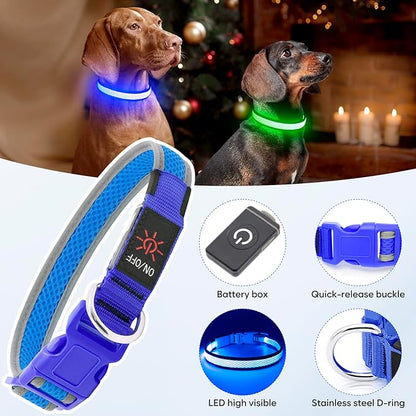 LED Dog Collar, Light Up Dog Collar USB Rechargeable, Brightest Dog Lights for Night Walking, Adjustable Dog Collar Light for Dog Safety(Small, Royal Blue)