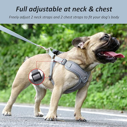 Dog Frenchie Harness with Leash Set, No Pull Adjustable Step in with Breathable Padded Vest Harness for Small Medium Large Dogs Walking and Running(M, Gray)