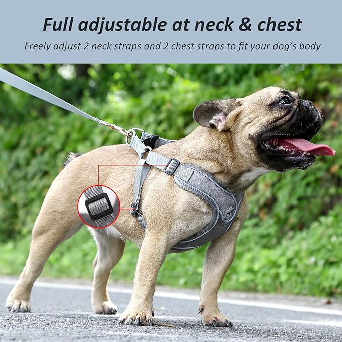 Dog Harness with Leash Set, Reflective Strips Adjustable Step in with Breathable Padded Vest Harness for Small Large Dogs Training and Running (S, Gray)