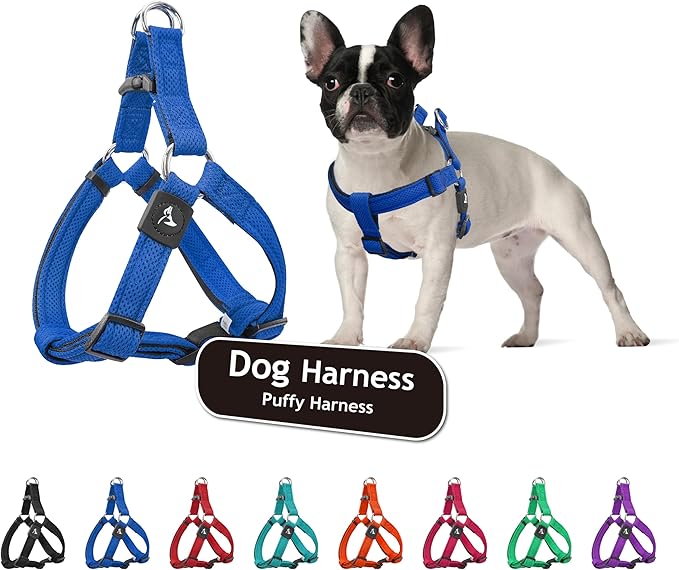Kruz No Pull Dog Harness (Chest 26”-38”, Weight 44-88 lbs) Heavy-Duty Pet Harness for Large Breeds, Ultra-Comfort Fit, Lifetime Durability, Adjustable Dog Harness No Pull Design (Blue, Large)
