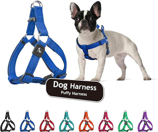 Kruz No Pull Dog Harness (Chest 26”-38”, Weight 44-88 lbs) Heavy-Duty Pet Harness for Large Breeds, Ultra-Comfort Fit, Lifetime Durability, Adjustable Dog Harness No Pull Design (Blue, Large)