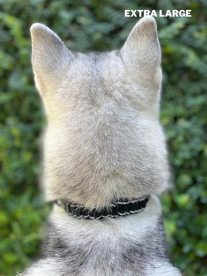 Tuff Pupper Heavy Duty Dog Collar with Handle | Ballistic Nylon Heavy Duty Collar | Padded Reflective Dog Collar with Adjustable Stainless Steel Hardware | Convenient Sizing for All Breeds