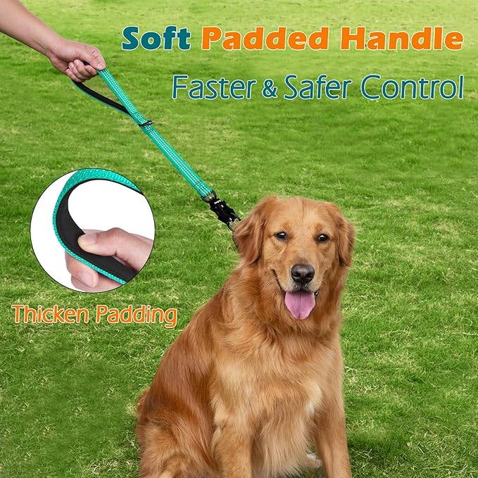 PetBonus Heavy Duty Short Dog Leash, 18 Inch Nylon Traffic Leash with Quick Release Clip, Comfortable Padded Handle, Reflective Training Lead for Medium Large Dogs (Turquoise, 18")