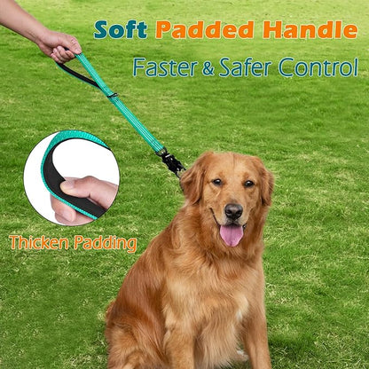 PetBonus Heavy Duty Short Dog Leash, 18 Inch Nylon Traffic Leash with Quick Release Clip, Comfortable Padded Handle, Reflective Training Lead for Medium Large Dogs (Turquoise, 18")