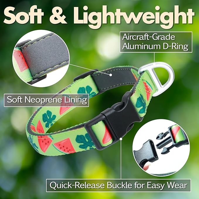Heavy Duty Dog Collar, Durable Summer Watermelon Print Adjustable Collar with Aluminum D-Ring, Reflective Logo & Soft Padding Fits for Large Breed Dogs, Neck Size 16’’-25’’ (Watermelon, L)