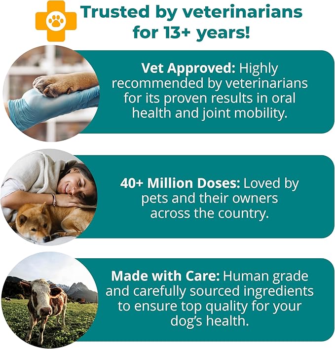 1TDC WorksSoWell Dual Action Hip and Joint Supplement for Dogs & Cats - for Large & Small Breed - Great for Oral Health, Stamina Recovery & Arthritis Pain Relief -60 ct