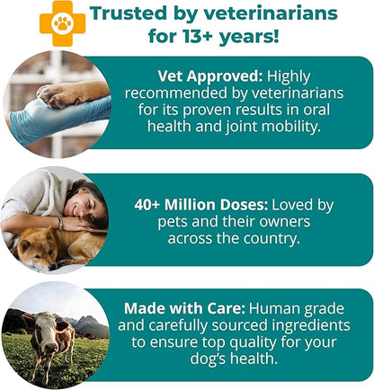 1TDC WorksSoWell Dual Action Hip and Joint Supplement for Dogs & Cats - for Large & Small Breed - Great for Oral Health, Stamina Recovery & Arthritis Pain Relief -30 ct