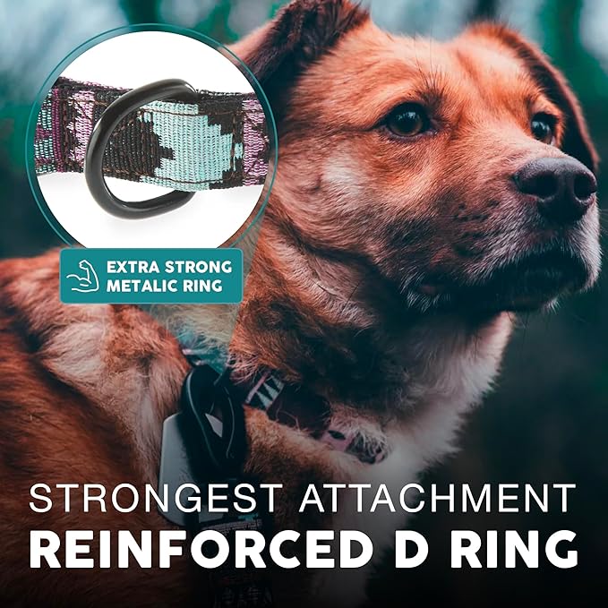 Embark Adventure Dog Collar – Stylish & Durable Nylon Collar for Medium Dogs, Comfortable & Adjustable Pet Collar for Medium Sized Dog with Strong Buckles