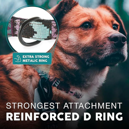 Embark Adventure Dog Collar – Stylish & Durable Nylon Collar for Medium Dogs, Comfortable & Adjustable Pet Collar for Medium Sized Dog with Strong Buckles