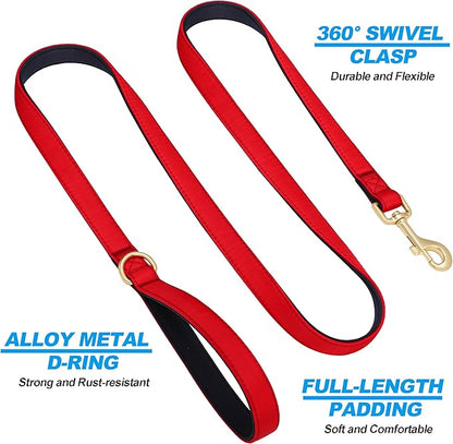 Didog 5FT Colorful Nylon Dog Leash with Soft Full-Length Padding, Lightweight and Durable Pet Leash for Small Dogs, Red, S
