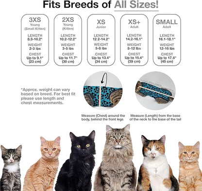BellyGuard Cat Recovery Suit for Female and Male, Cat Surgery Suit Alternative, Onesie for After Spay Care, Post-Surgery Protective Body Cover for Feline and Kitten Healing