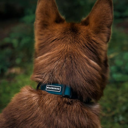 Wilderdog Waterproof Dog Collar - Repels Water & Dirt - Large 17"-24" - Pacific Blue