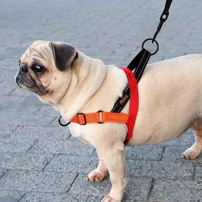 Didog No Pull Dog Harness with Soft Padded Handle, Quick Fit & Lightweight Adjustable Vest Harness, Easy for Training Walking for Small & Medium and Large Dogs(Red,L)