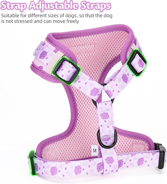 Dog Harness and Leash Set, Adjustable Dog Harness, Dog Leash, No Pull No Choke Puppy Harnesses for Walking Training for Small Medium Pet (Wines, XS(Chest 9.9-13.5", Neck 7.8-10.2"))