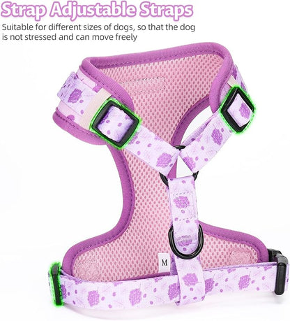 Dog Harness and Leash Set, Adjustable Dog Harness, Dog Leash, No Pull No Choke Puppy Harnesses for Walking Training for Small Medium Pet (Wines, XS(Chest 9.9-13.5", Neck 7.8-10.2"))