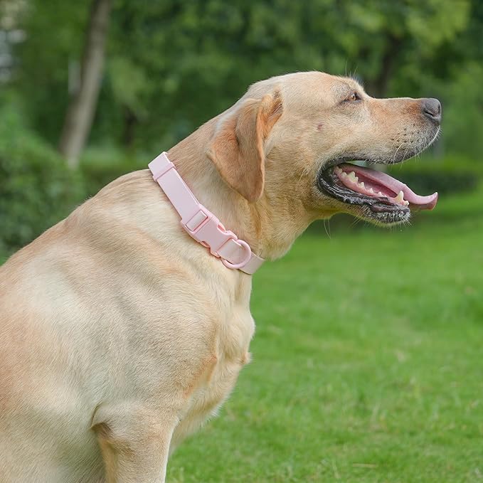 Waterproof Rubber Dog Collar, Odor-Resistant and Easy to Clean, Ideal for Daily Walks, Rainy Days, Swimming and Hiking, Fits Small Medium and Large Dogs