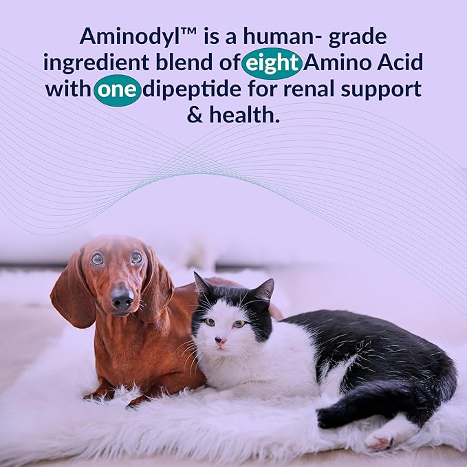 Aminodyl™ Kidney Support Supplement 400mg for Cats & Small Dogs - Supports Natural Kidney Function with Amino Vastly Promotes Health, Wellbeing & Vitality of Kidneys - 120 Sprinkle Capsules. U.S.A