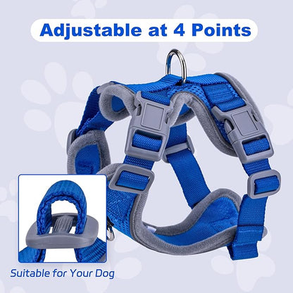 Small Dog Harness and Leash Set, No Pull Adjustable Pet Harness for Small Dogs, Breathable Mesh Rflective Dog Vest Harness (Blue, XXS)