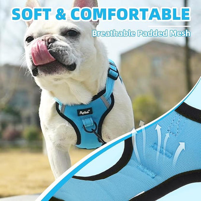 PUPTECK No Pull Dog Harness Small Sized Dog, Adjustable Reflective Escape Proof Easy Control, Comfortable Soft Padded Step in Pet Vest Harness, Blue, XS