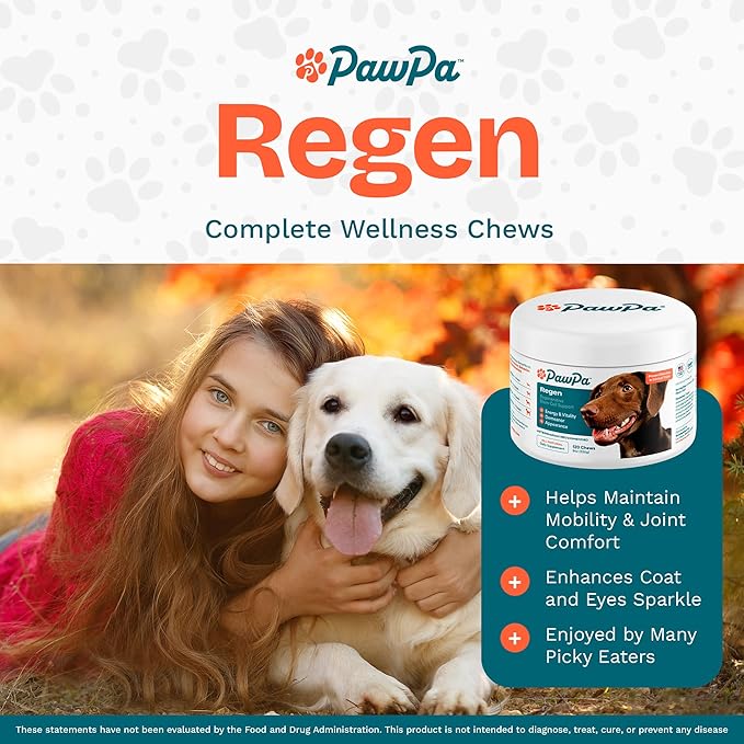 PawPa Regen, 120 Chews Veterinarian Recommended Regenerative Stem Cell Supplement for Senior Dogs, Supports Mobility, Appearance, Alertness, Hip & Joint, Delicious Beef Flavor Chews