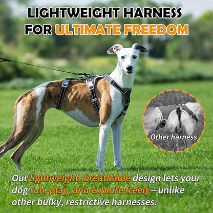 Huntboo Escape Proof Dog Harness – No Pull, No Slip, Fully Reflective, Adjustable 7-Point Design for Small, Medium, and Large Dogs – Lightweight for Outdoor Training & Hiking (Black, M)