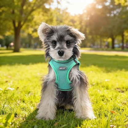Bolux Dog Harness Small Sized and Leash Set, Step in Soft Light Puppy Vest, Breathable Mesh Pet Harness, Reflective for Safe Easy Walking.