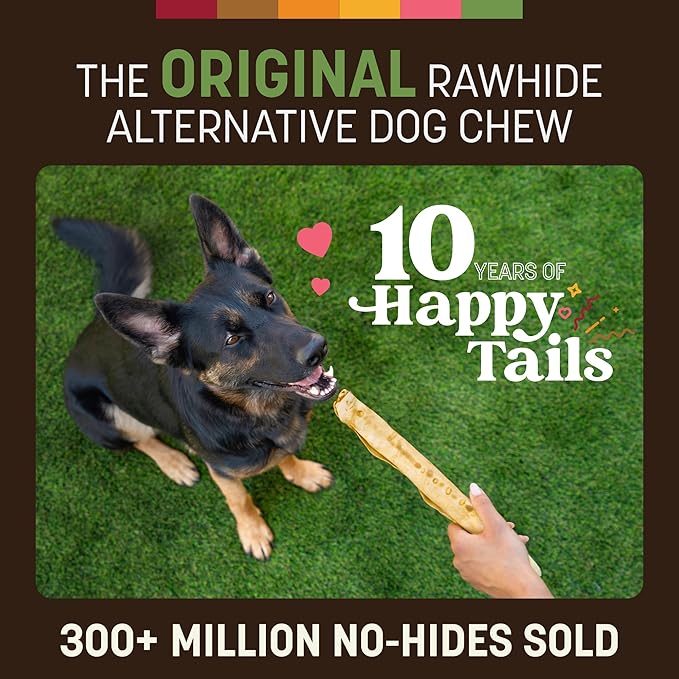 Earth Animal No Hide Chews - Long Lasting Rawhide Free Large Dog Chews Rolls, Pork - 2 Count