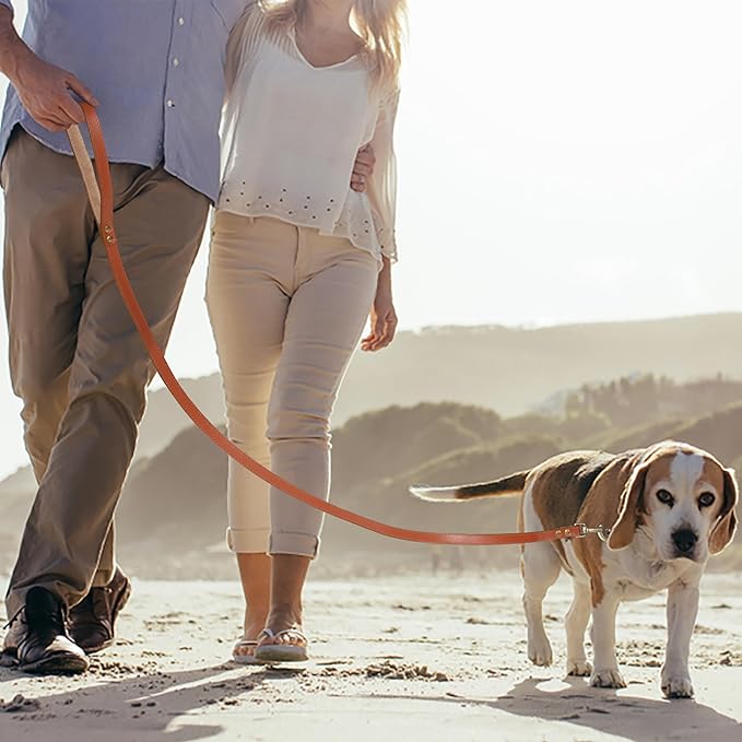 Lightnpro Tan Leather Dog Collar & Leash Set - 18" Adjustable Leather Nylon Collar with Metal Buckle & 50" Durable Lead - Comfortable, Stylish Combo for German Shepherds,Bernards & Other Large Breeds