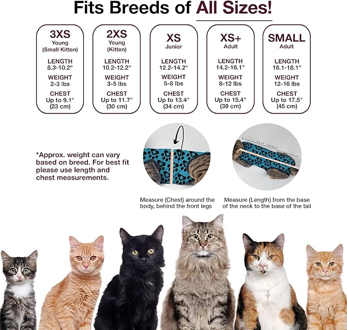 Bellyguard Cat Recovery Suit for Female and Male, Cat Surgery Suit Alternative, Onesie for After Spay Care, Post-Surgery Protective Body Cover for Feline and Kitten Healing