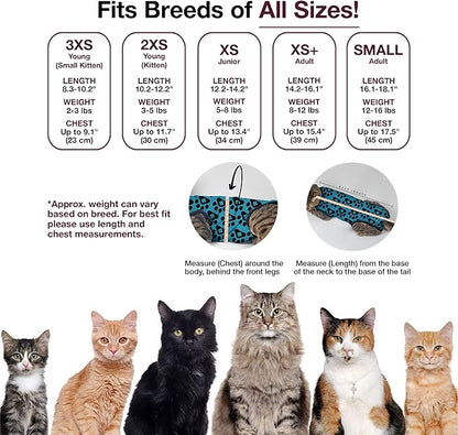 Bellyguard Cat Recovery Suit for Female and Male, Cat Surgery Suit Alternative, Onesie for After Spay Care, Post-Surgery Protective Body Cover for Feline and Kitten Healing