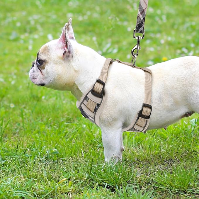 PUPTECK Small Dog Harness and Leash Set, No Pull Adjustable Puppy Cat Harness, Reflective Soft Mesh Pet Vest Small Sized, Beige, S