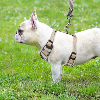 PUPTECK Small Dog Harness and Leash Set, No Pull Adjustable Puppy Cat Harness, Reflective Soft Mesh Pet Vest Small Sized, Beige, M