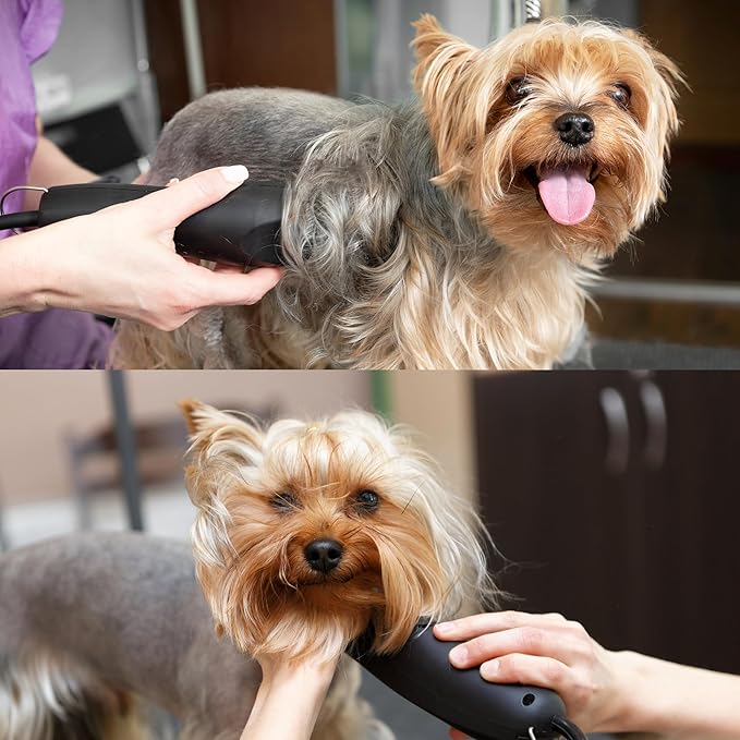 Detachable A Series Wide 30 Blades for Dog Grooming Cuts Length 1/50" - 0.5mm Japanese Carbonized Steel Wide Grooming Blades Compatible A5 Series Wide Clippers for Dogs(30W)